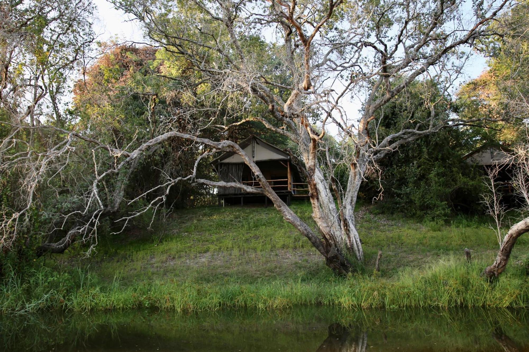 Zambezi Dusk Villa Livingstone Exteriör bild