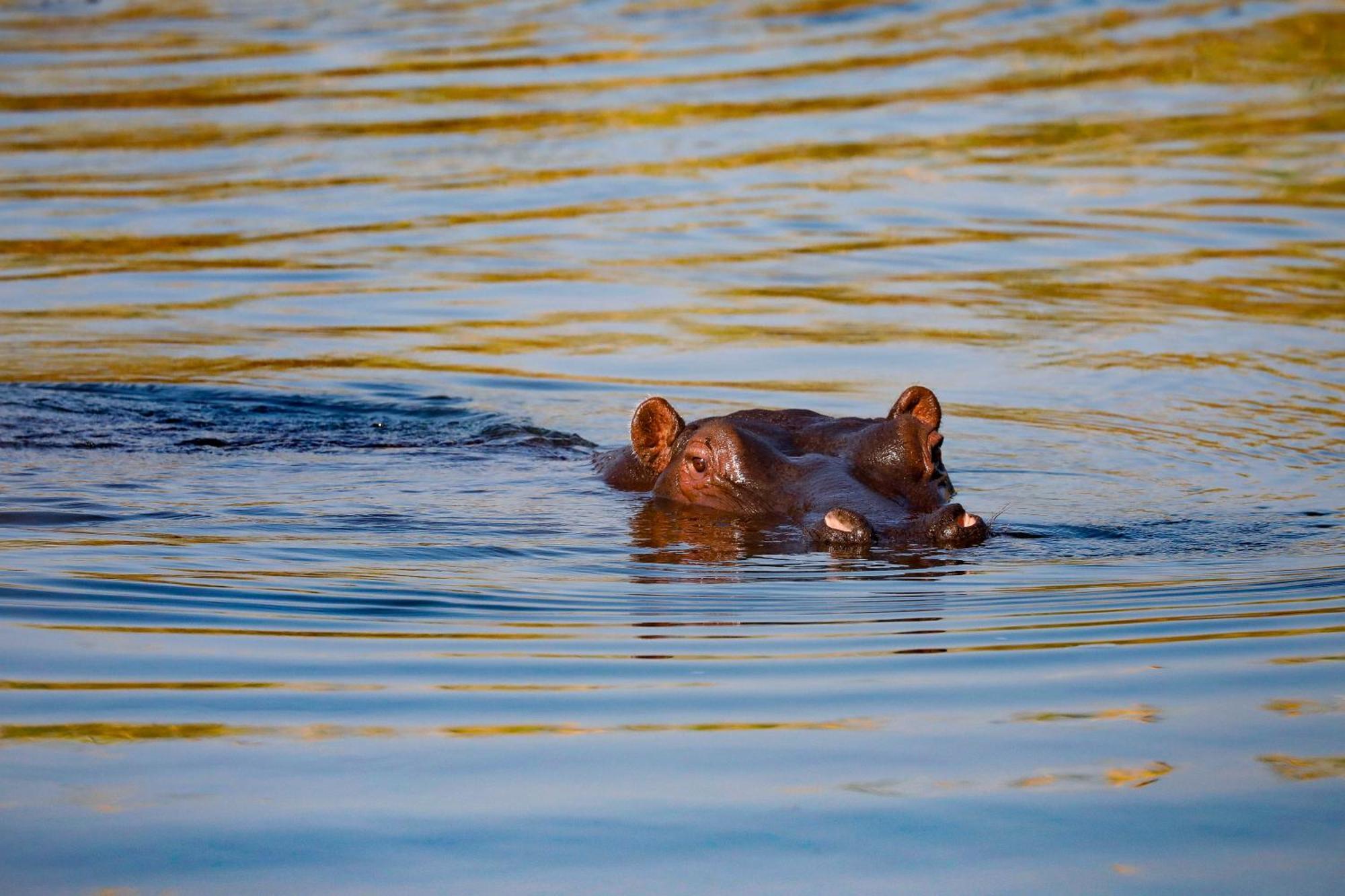 Zambezi Dusk Villa Livingstone Exteriör bild